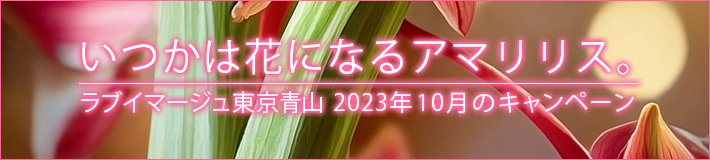 10月のキャンペーン