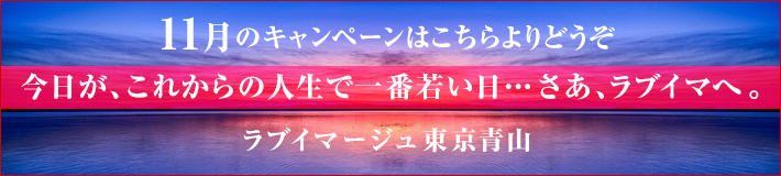 11月のキャンペーン